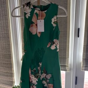 Ted Baker London Dress